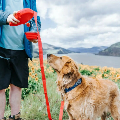 Petiva™ All-in-One Retractable Leash