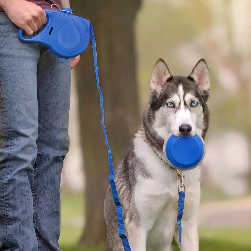 Petiva™ All-in-One Retractable Leash