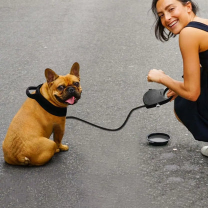 Petiva™ All-in-One Retractable Leash